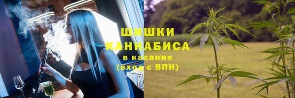 молекула духа Пролетарск