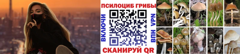 Галлюциногенные грибы Psilocybe  Меленки 